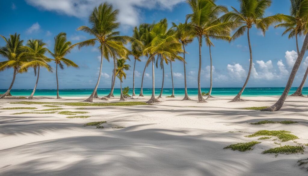 Best Time to Visit Punta Cana to Avoid Seaweed