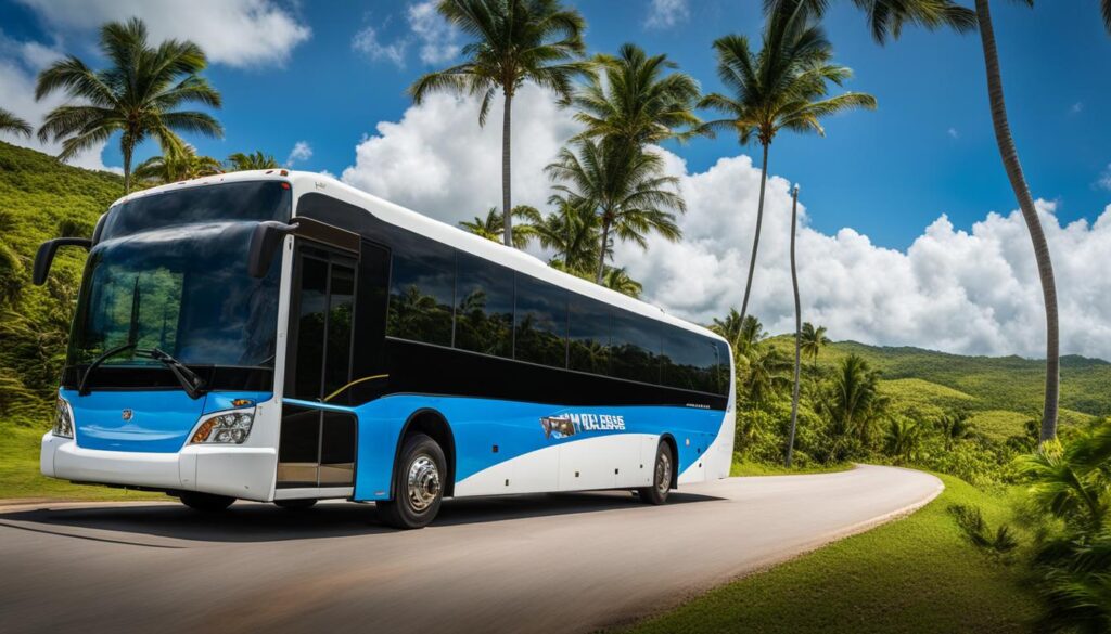 Puerto Plata to Punta Cana shuttle