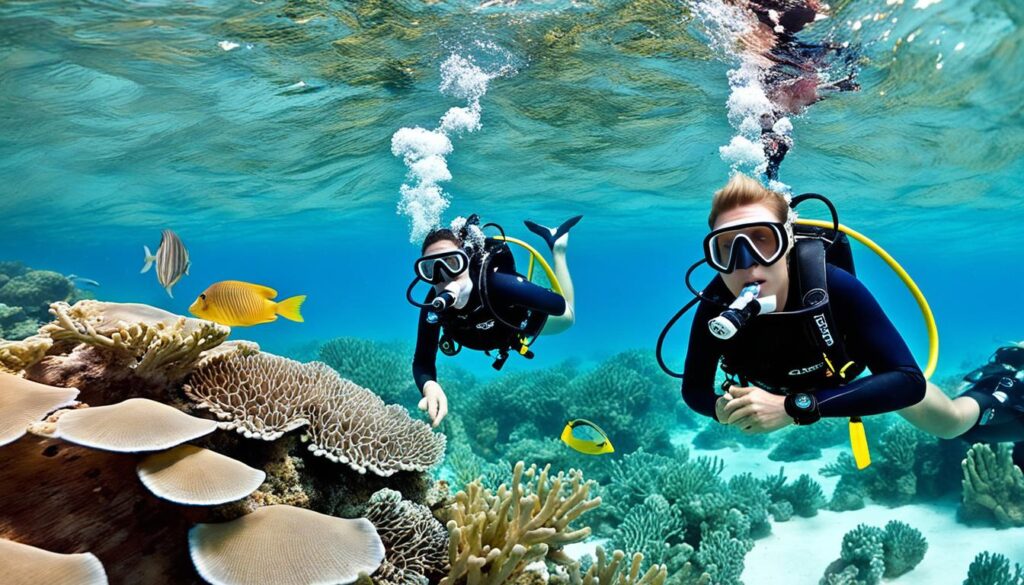 Punta Cana underwater