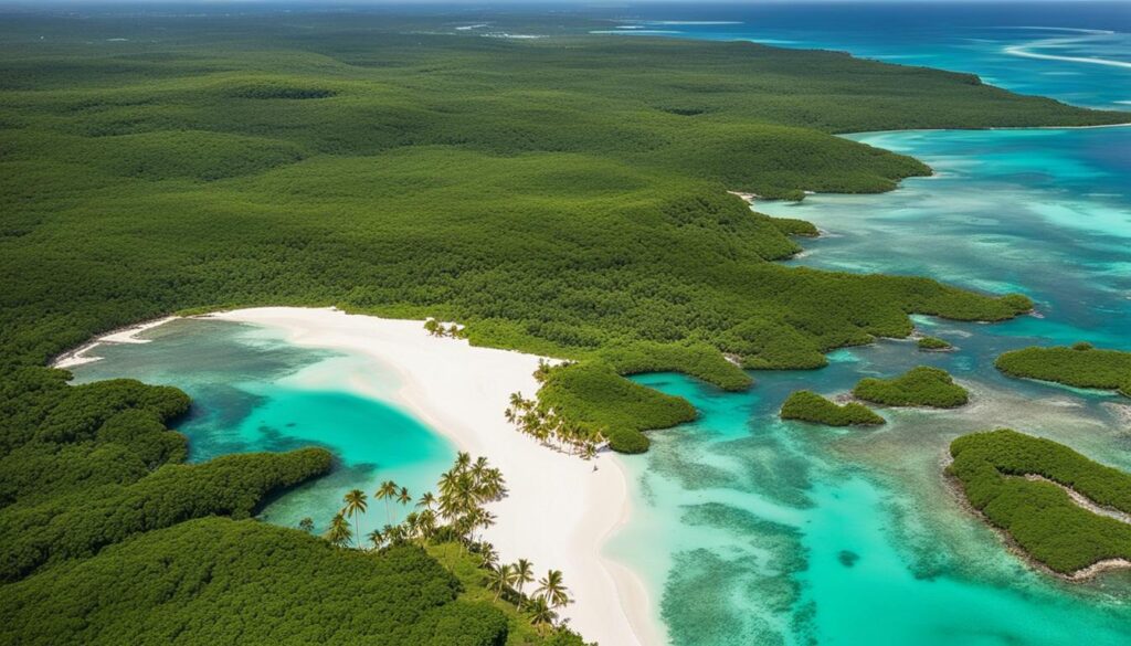 dominican republic helicopter transfers