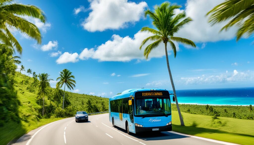 how to get to punta cana from santo domingo