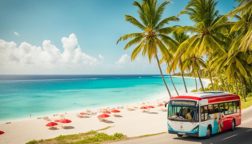 how to go from santo domingo to punta cana