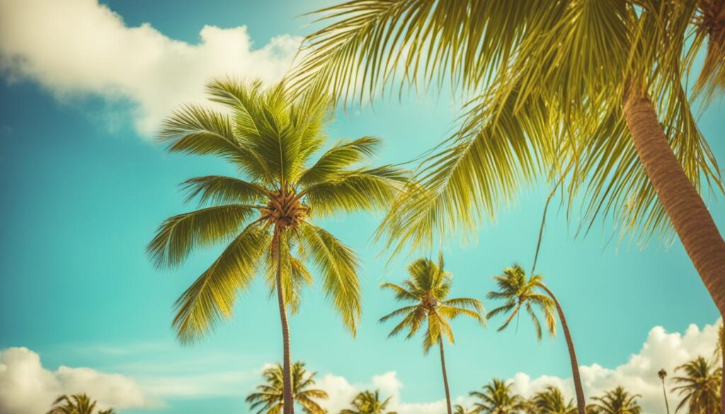 is punta cana 1 hour ahead?