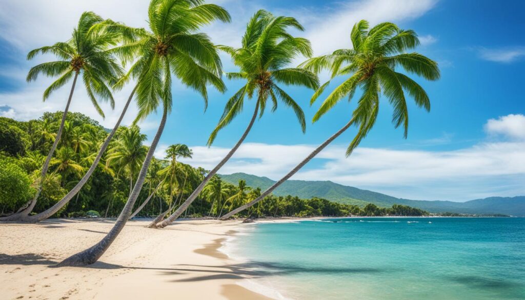 puerto plata or punta cana