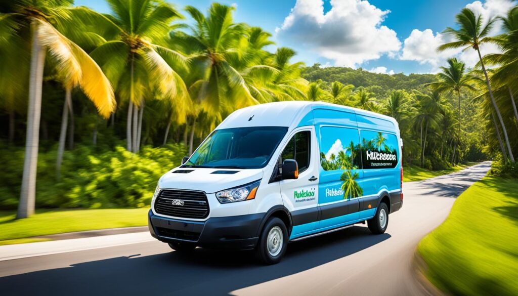 punctual shuttle punta cana nickelodeon resort